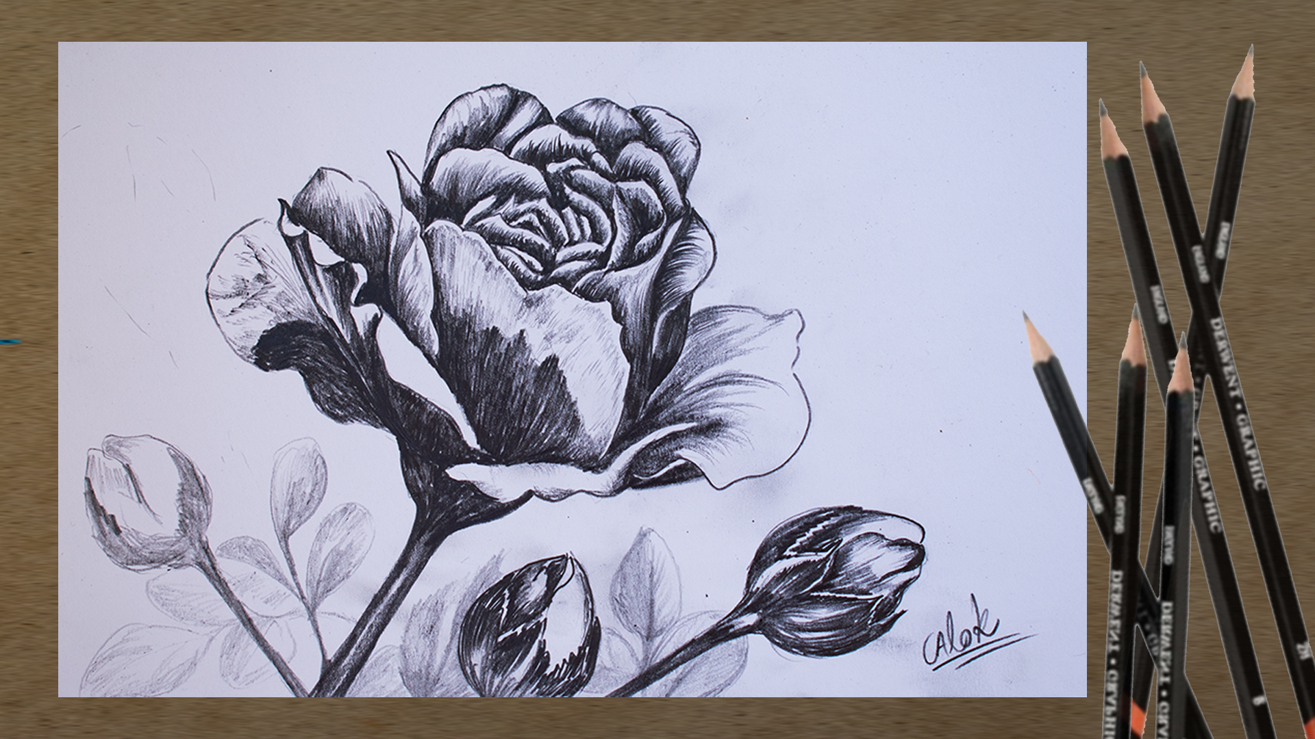 Print: Rose Flower Pencil Drawing Botanical Wall Art - Etsy